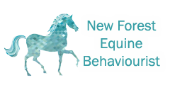 New Forest Equine Behaviourist